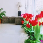 Lobby - เบดไทม์ หัวหิน